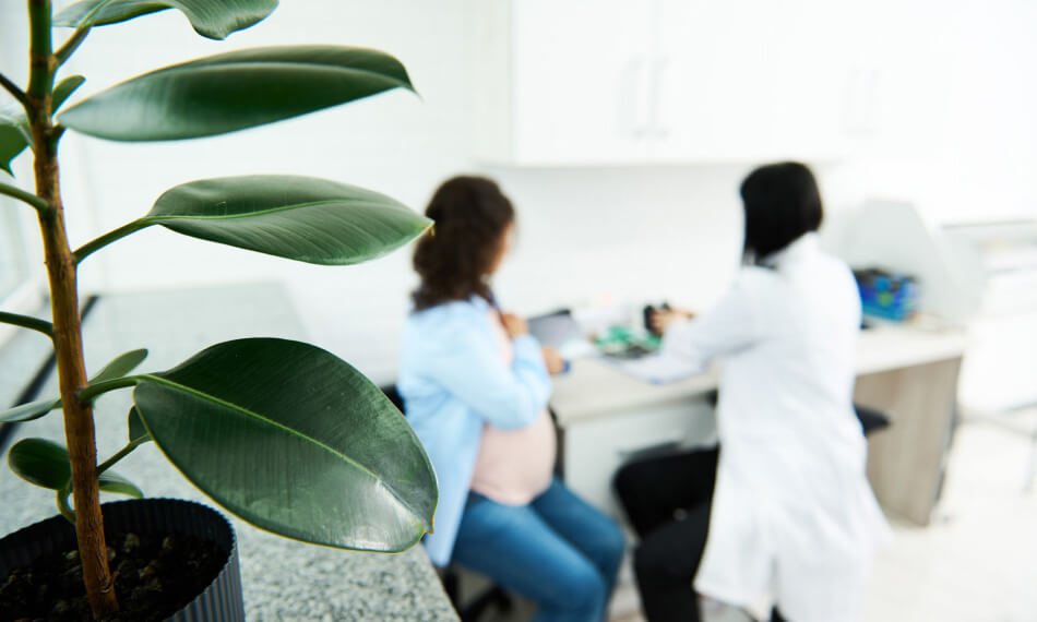 Find doctors by specialty online